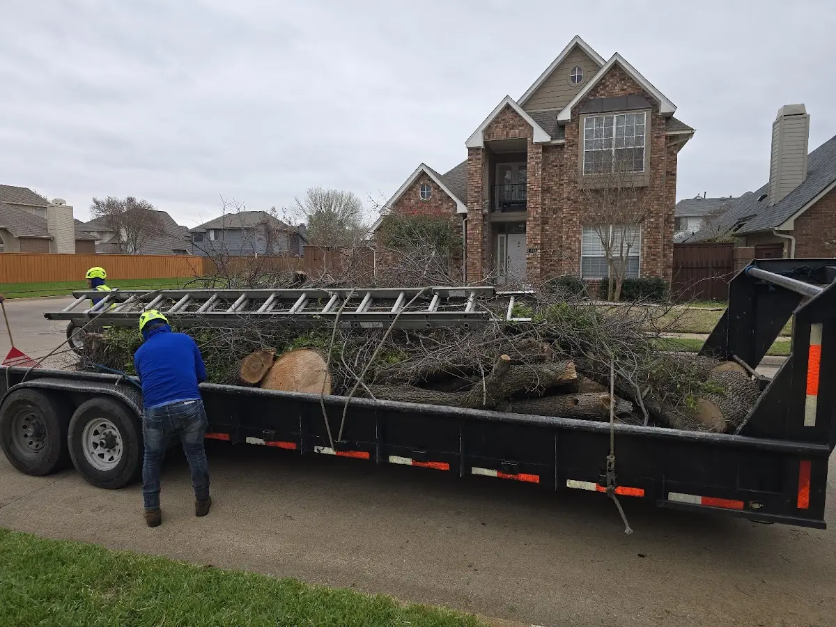 Expert Tree Pest Control with proper safety equipment in Alligator